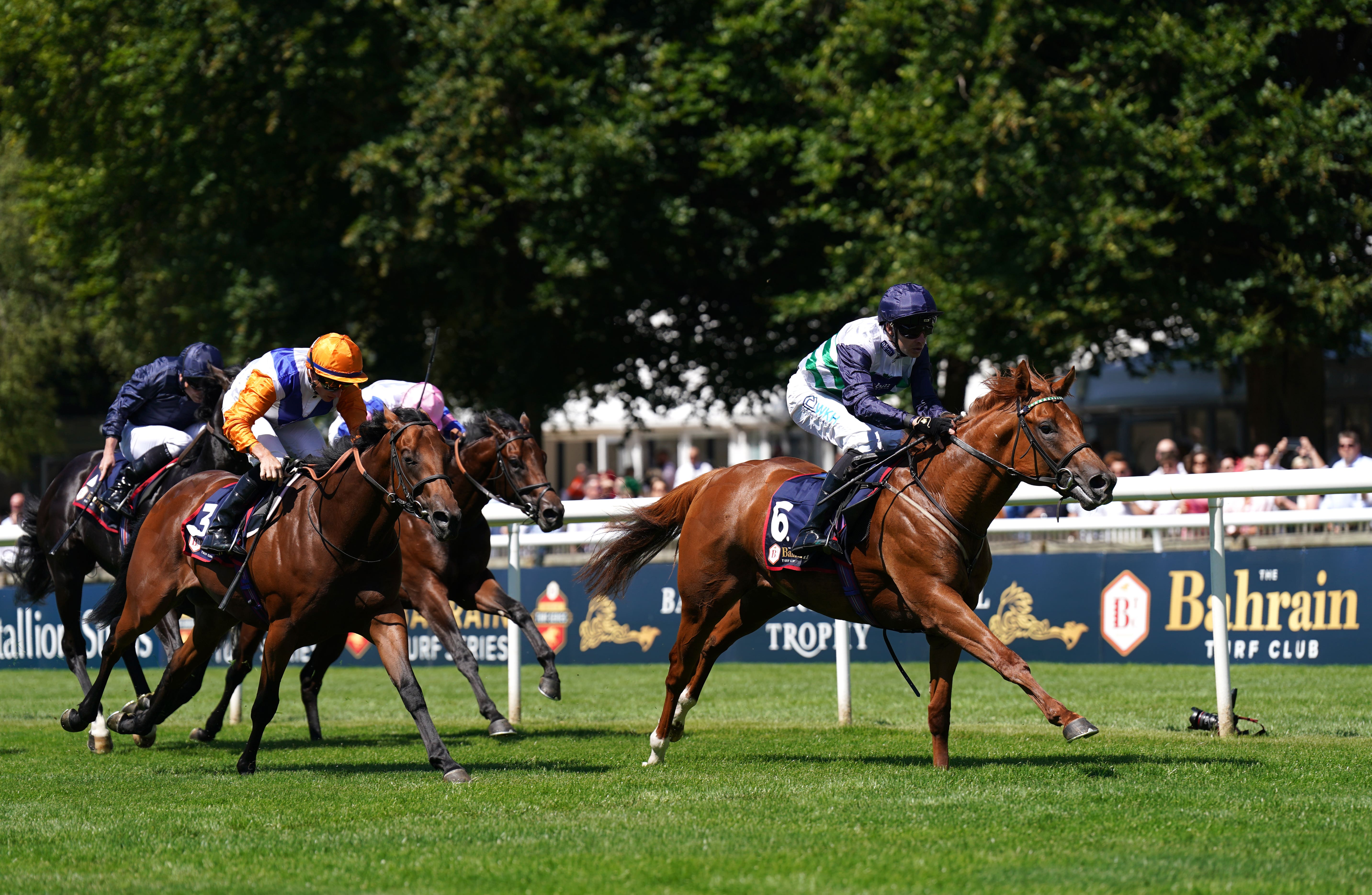 Do Or Do Not (left) has been a model of consistency